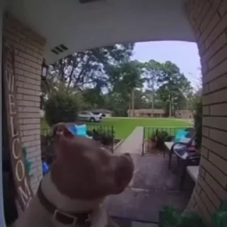 🤨