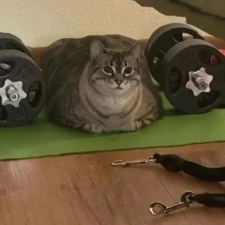 🔩