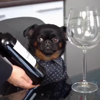 🍷