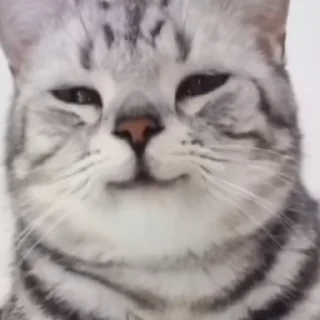 😊