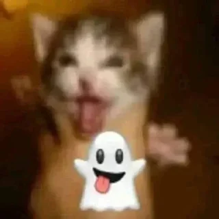 👻