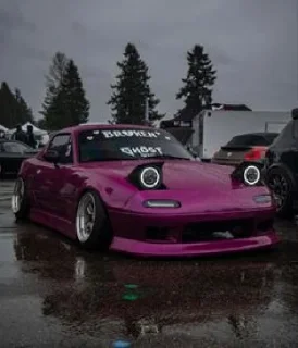 🟪