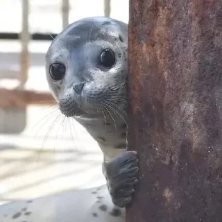 😦