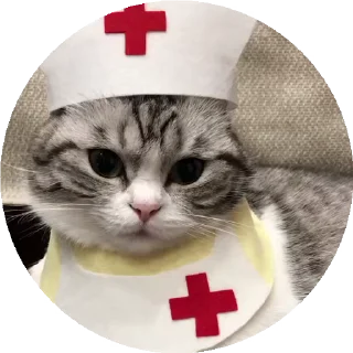 🚑