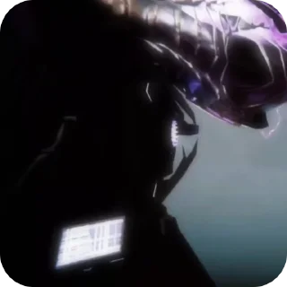 🌟