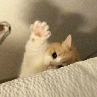 👋