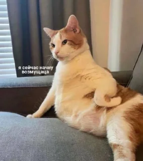 😠