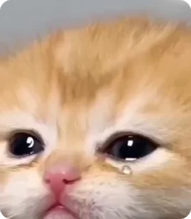 😭