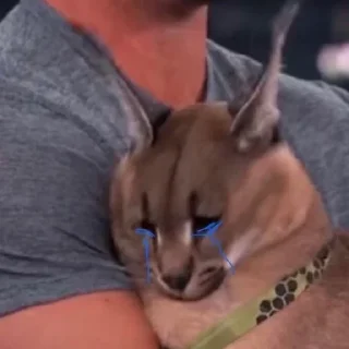 😢