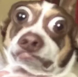 👋
