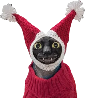 🎅