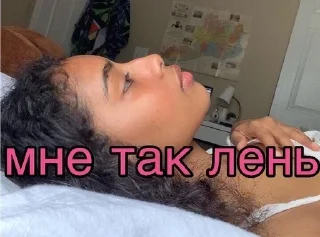 🦥