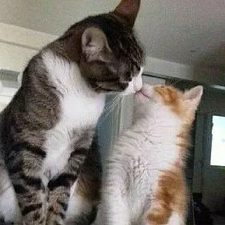 💋