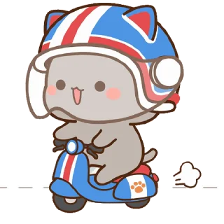🛵