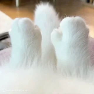 🥵