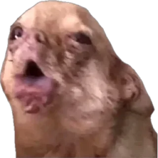🥴