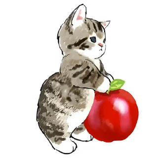 🍎