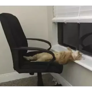 😴
