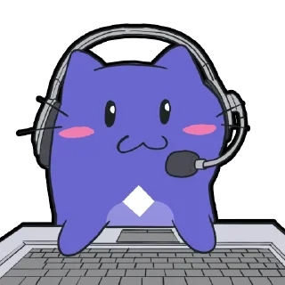 💻