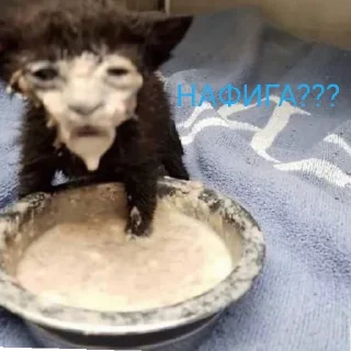 😄