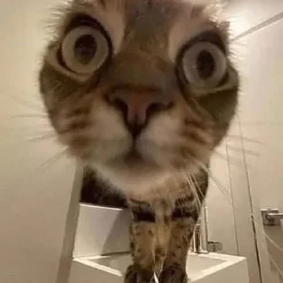🤯