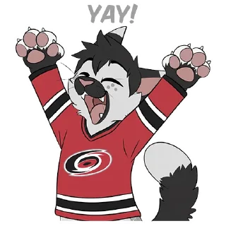 🏒