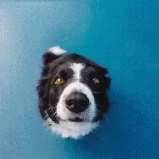 😶