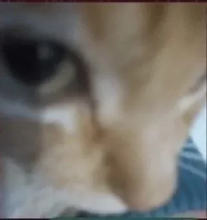 🧐