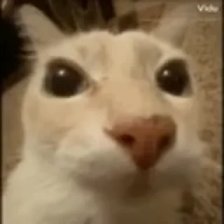🤨