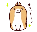 🐶