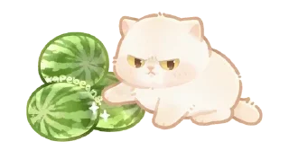 🍉