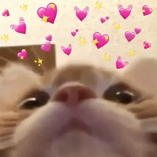 💖