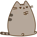 🐱