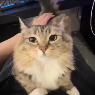 😐
