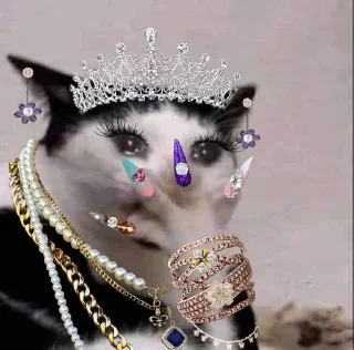 🐱