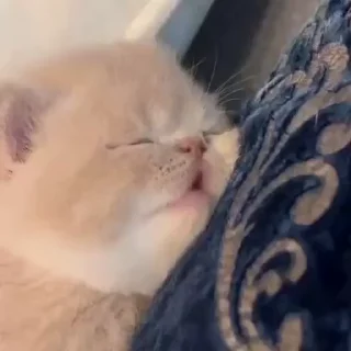 😢