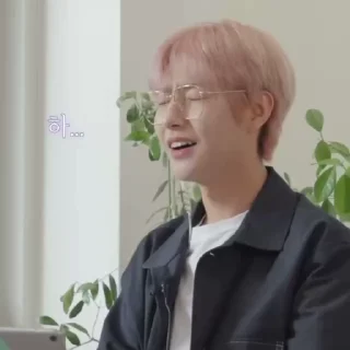 🦊