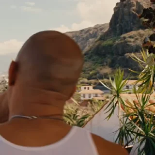 🦍
