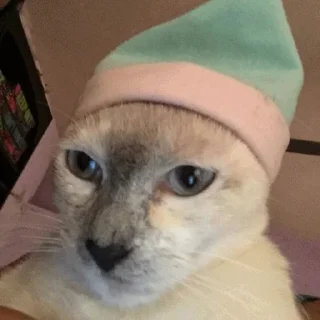 😑