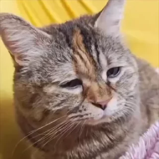 😢