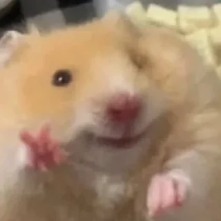 ✌️