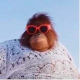 😎