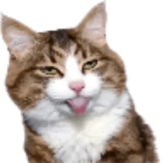 😛