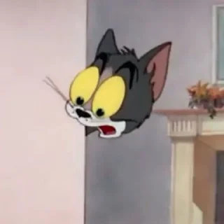 💸