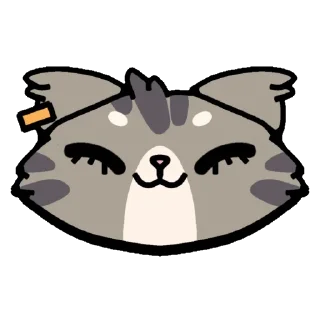 😸