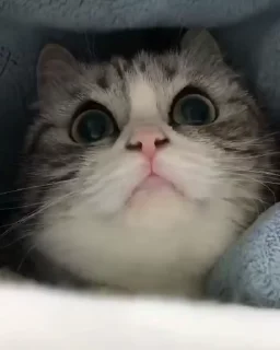 😊