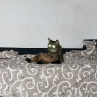 ⚡