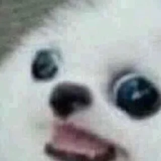 😦