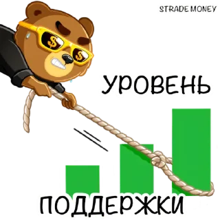 📈