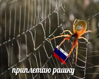 🕷